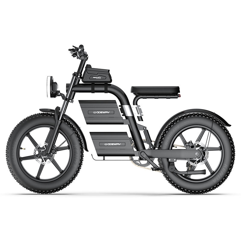Odeway E20 Dual Battery Electric Bike 20 Inch Fat Tire Off Road Ebike 2000W 60V Powerful Mountain Electric Bicycle