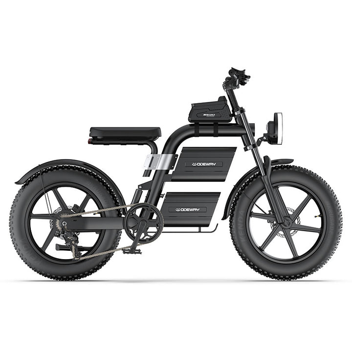 Odeway E20 Dual Battery Electric Bike 20 Inch Fat Tire Off Road Ebike 2000W 60V Powerful Mountain Electric Bicycle