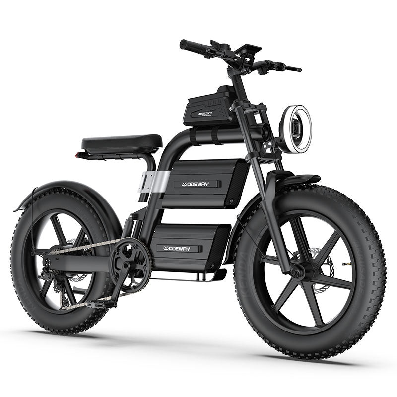 Odeway E20 Dual Battery Electric Bike 20 Inch Fat Tire Off Road Ebike 2000W 60V Powerful Mountain Electric Bicycle