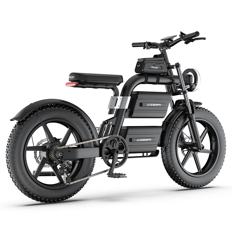Odeway E20 Dual Battery Electric Bike 20 Inch Fat Tire Off Road Ebike 2000W 60V Powerful Mountain Electric Bicycle